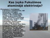 Japonijos Fukušimos atominė elektrinė 7 puslapis