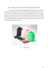 Atliekų tvarkymas. Referatas 12 puslapis