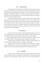 Atliekų tvarkymas. Referatas 16 puslapis