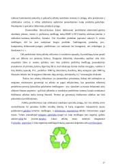 Atliekų tvarkymas. Referatas 17 puslapis