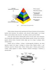 Atliekų tvarkymas. Referatas 8 puslapis