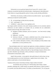 EGO raidos ir sutrikimų samprata psichoanalizėje 2 puslapis