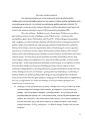 EGO raidos ir sutrikimų samprata psichoanalizėje 11 puslapis