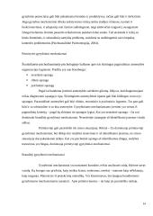 EGO raidos ir sutrikimų samprata psichoanalizėje 14 puslapis