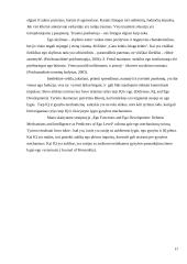 EGO raidos ir sutrikimų samprata psichoanalizėje 17 puslapis