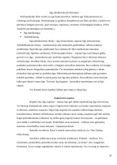 EGO raidos ir sutrikimų samprata psichoanalizėje 18 puslapis