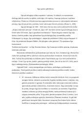 EGO raidos ir sutrikimų samprata psichoanalizėje 4 puslapis