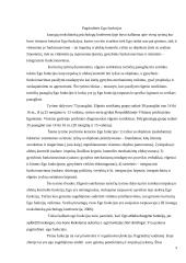 EGO raidos ir sutrikimų samprata psichoanalizėje 9 puslapis