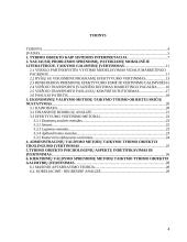 Marketingo strategijos plėtojant visuomeninio transporto paslaugas 2 puslapis