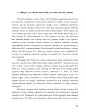 Marketingo strategijos plėtojant visuomeninio transporto paslaugas 11 puslapis