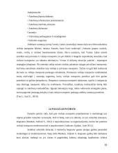 Marketingo strategijos plėtojant visuomeninio transporto paslaugas 16 puslapis