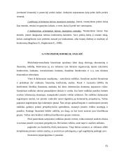 Marketingo strategijos plėtojant visuomeninio transporto paslaugas 19 puslapis