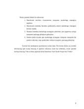 Marketingo strategijos plėtojant visuomeninio transporto paslaugas 4 puslapis