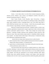 Marketingo strategijos plėtojant visuomeninio transporto paslaugas 5 puslapis