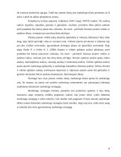 Marketingo strategijos plėtojant visuomeninio transporto paslaugas 6 puslapis