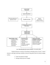 Marketingo strategijos plėtojant visuomeninio transporto paslaugas 7 puslapis
