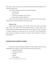 AS „Citadele banka“ finansinė analizė 12 puslapis