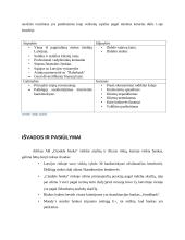AS „Citadele banka“ finansinė analizė 15 puslapis