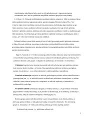 Politinė kultūra ir politinė socializacija. Referatas 2 puslapis