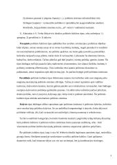 Politinė kultūra ir politinė socializacija. Referatas 3 puslapis