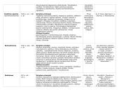 Literatūros epochos, kryptys ir srovės 3 puslapis