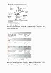 Stresas ir jo įveikimo būdai. Referatas 2 puslapis