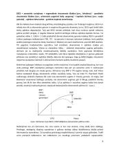 Darni ekonomikos plėtra 8 puslapis