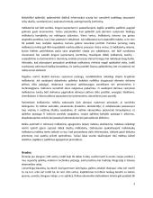 Darni ekonomikos plėtra 9 puslapis