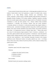 Verslo rūšys ir sąlygos lietuvoje 3 puslapis