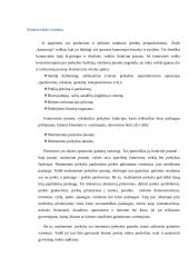 Verslo rūšys ir sąlygos lietuvoje 5 puslapis