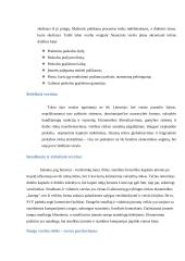 Verslo rūšys ir sąlygos lietuvoje 7 puslapis