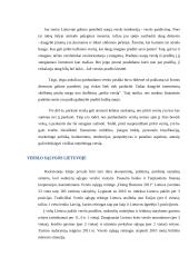 Verslo rūšys ir sąlygos lietuvoje 8 puslapis