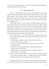 Ekstremalios situacijos Lietuvoje 11 puslapis