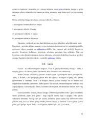 Ekstremalios situacijos Lietuvoje 13 puslapis