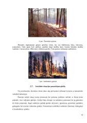 Ekstremalios situacijos Lietuvoje 14 puslapis