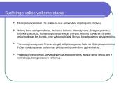 Valia. Pristatymas 3 puslapis