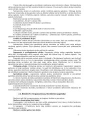 Verslo teisė. Kursinis darbas 11 puslapis