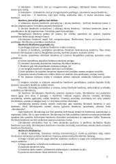 Verslo teisė. Kursinis darbas 12 puslapis