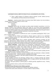 Verslo teisė. Kursinis darbas 14 puslapis