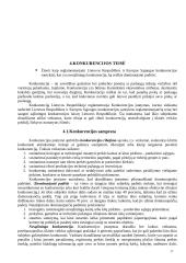 Verslo teisė. Kursinis darbas 17 puslapis