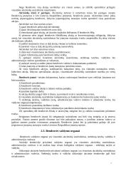 Verslo teisė. Kursinis darbas 7 puslapis