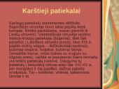 Kulinarija 16 puslapis