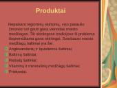 Kulinarija 6 puslapis