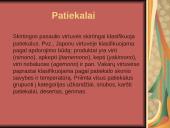 Kulinarija 8 puslapis