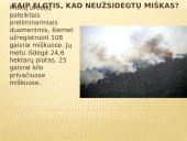 Gaisras miškuose 11 puslapis