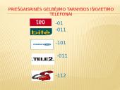Gaisras miškuose 12 puslapis