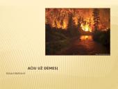 Gaisras miškuose 16 puslapis