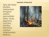 Gaisras miškuose 3 puslapis