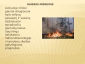 Gaisras miškuose 4 puslapis