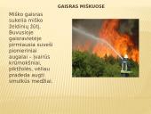 Gaisras miškuose 6 puslapis